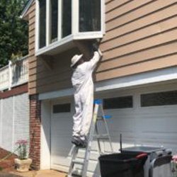 Pest Control Wayne NJ Stinging Insects Removal
